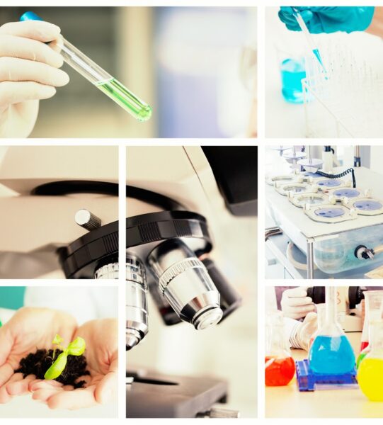 Cutting-edge Labs